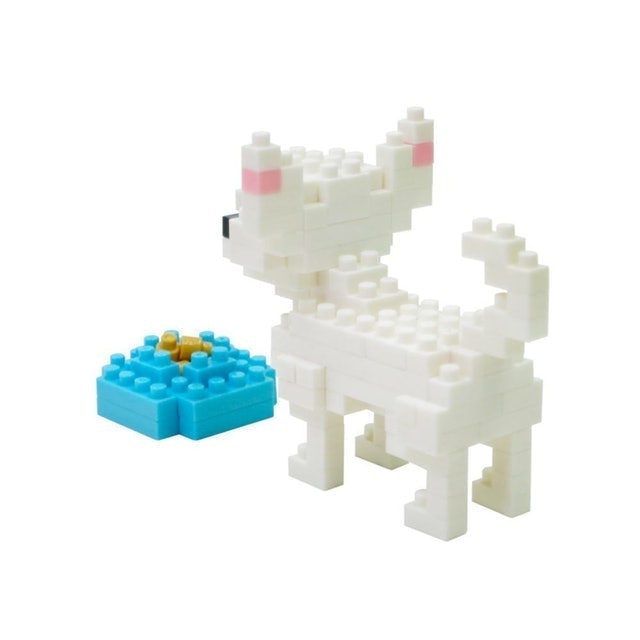 Chihuahua 2