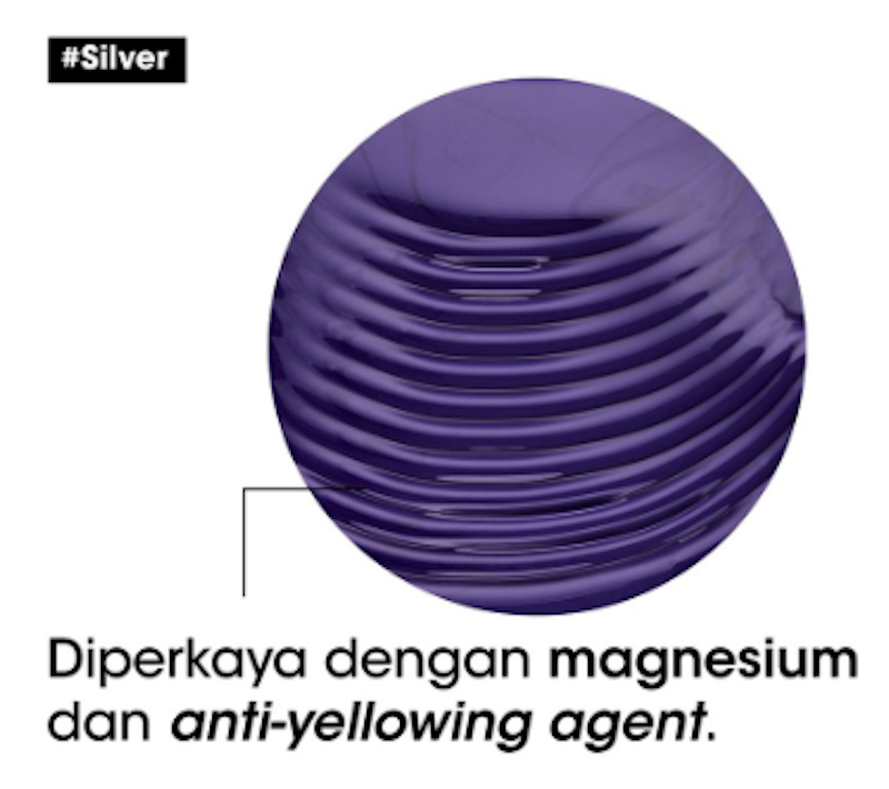 Serie Expert Silver Shampoo 4