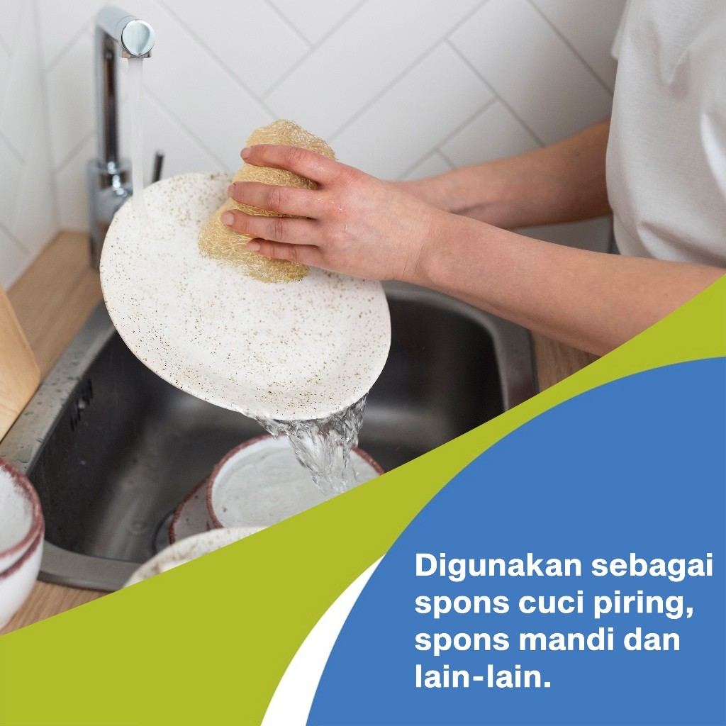 homLiv Spons Cuci Piring Luffa  4