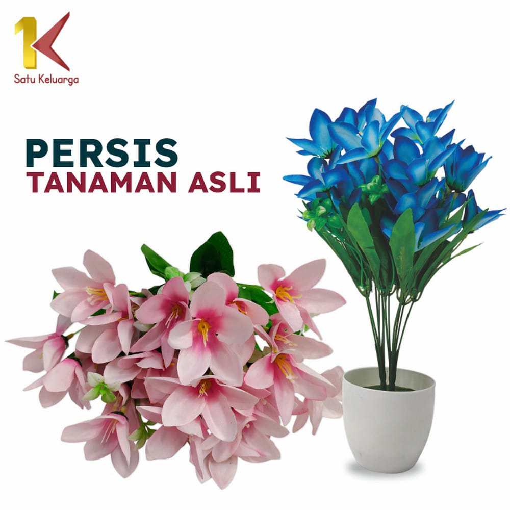 Satu Keluarga Bunga Artificial Dekorasi Rumah