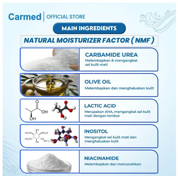 Surya Dermato Medica Laboratories Carmed Ultimate Essence Moisturizing Lotion