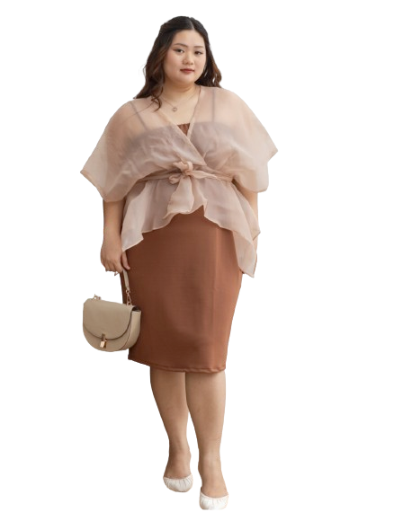 Eclaire Trisha Dress 