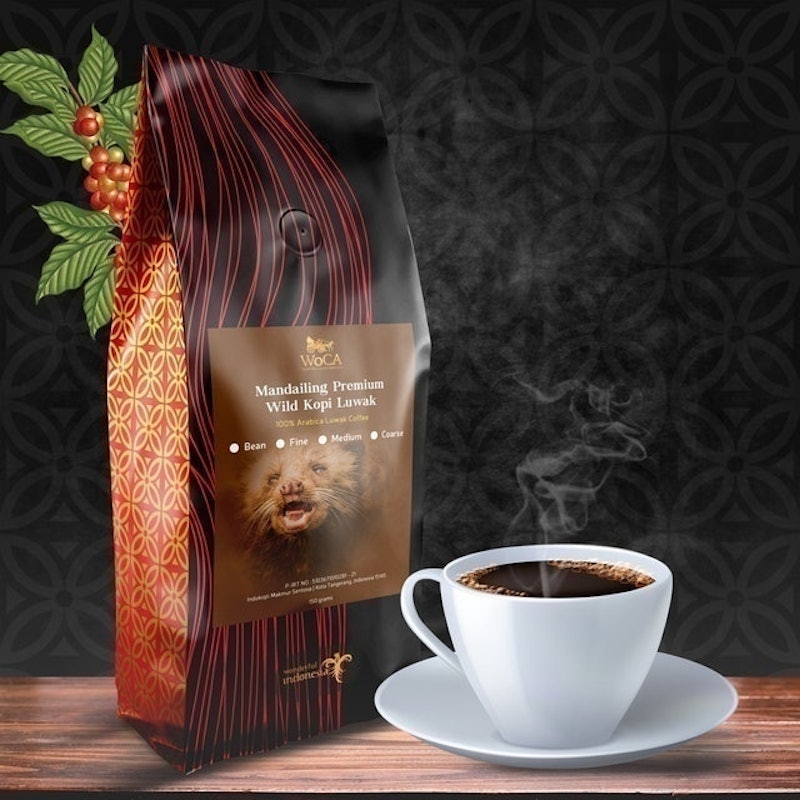 Kopi Luwak Arabika Mandailing 2