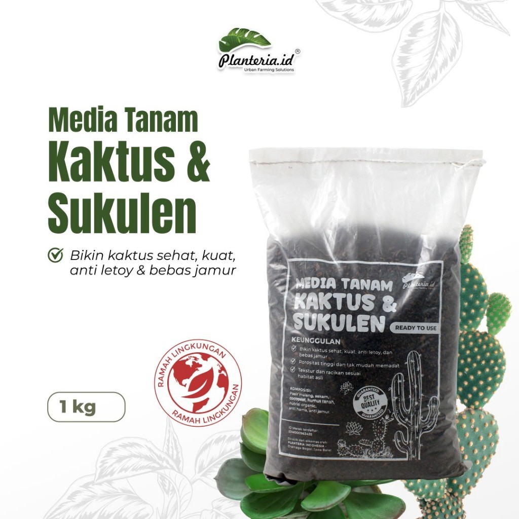 Planteria.id Media Tanam Kaktus dan Sukulen