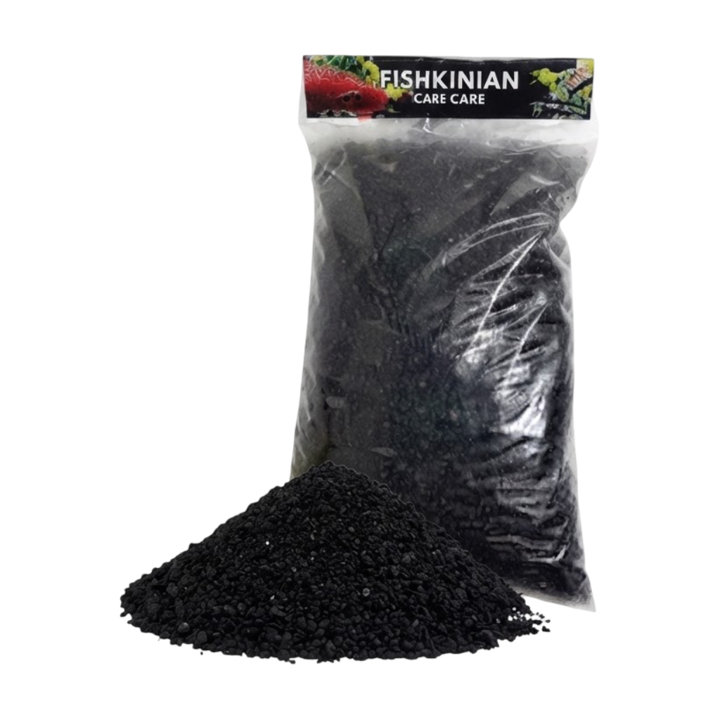 10 Rekomendasi Hiasan Aquarium Terbaik  [Ditinjau oleh Aquarist](Terbaru Tahun 2026) 5