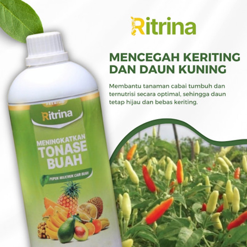 Ritrina Pupuk Cair 4