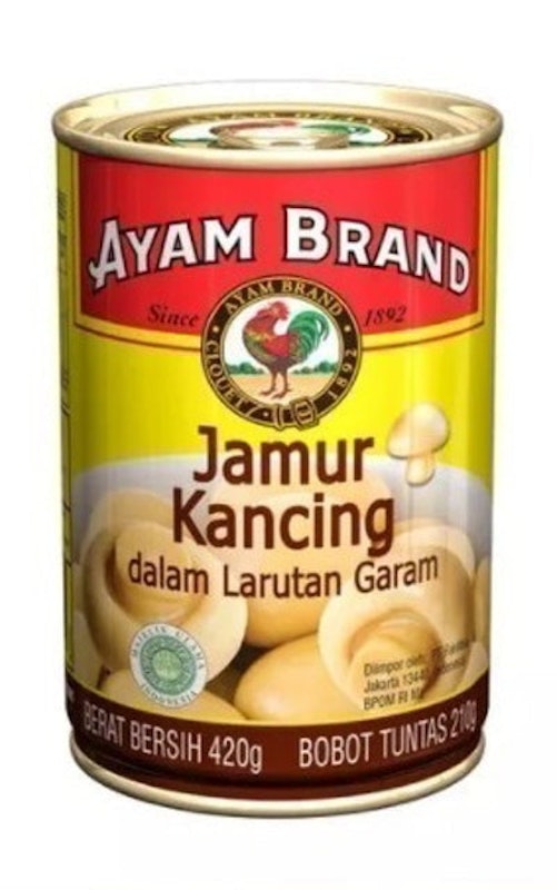 Jamur Kancing dalam Larutan Garam 1