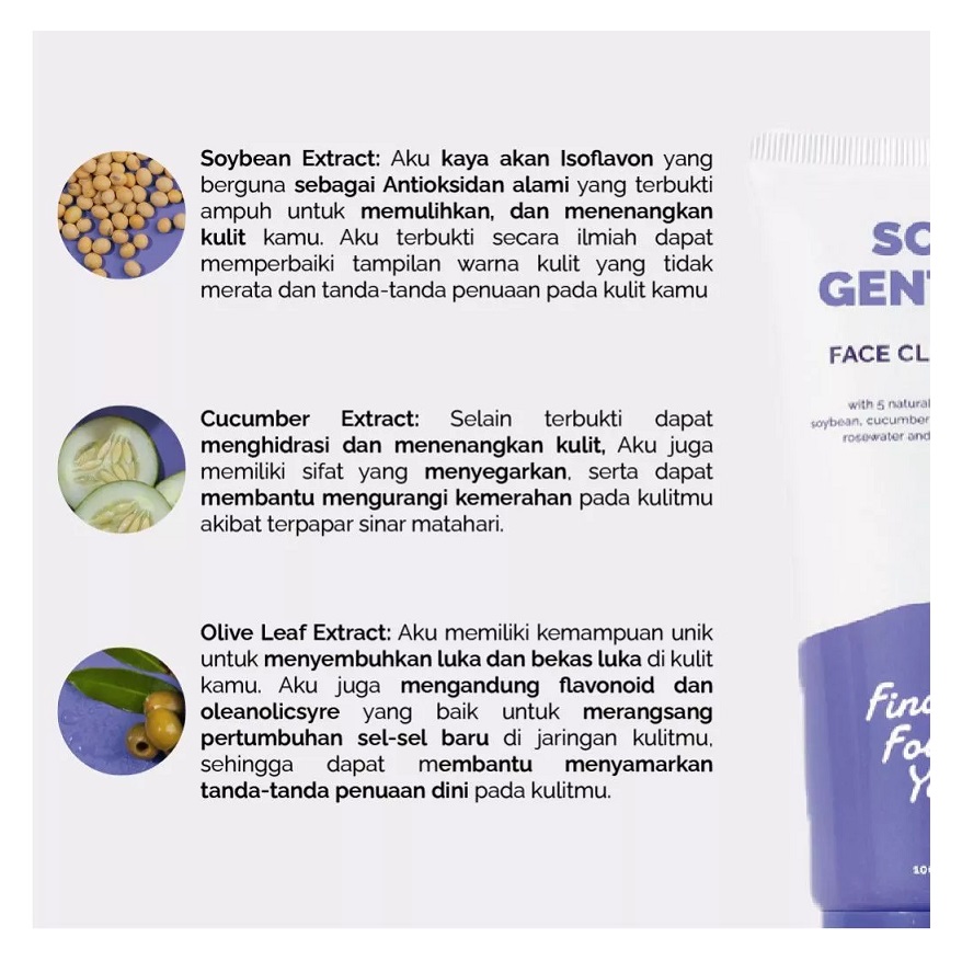 Karya Maharendra Innovation Finally Found You! Soy Gentle Face Cleanser