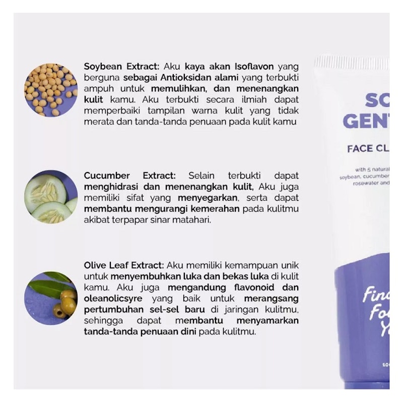 Finally Found You! Soy Gentle Face Cleanser 4