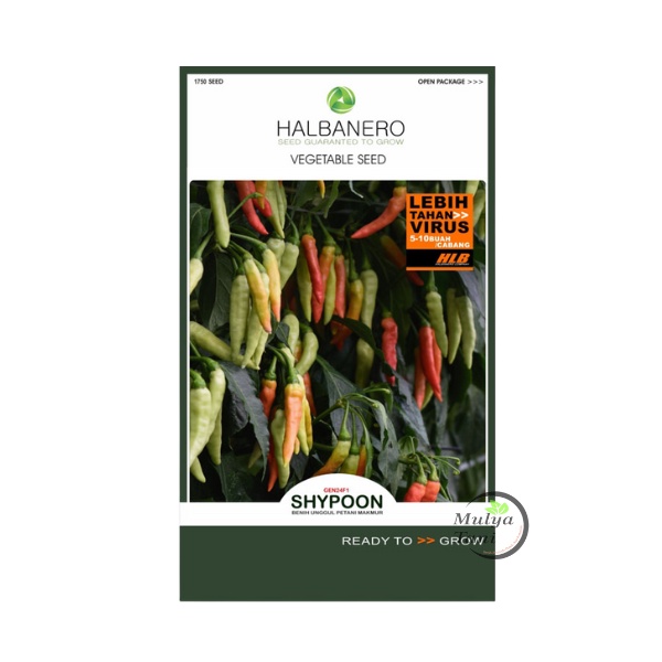 Benih Cabe Rawit Shypoon