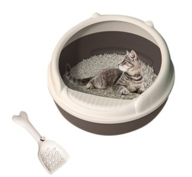 Cat Litter Box 2