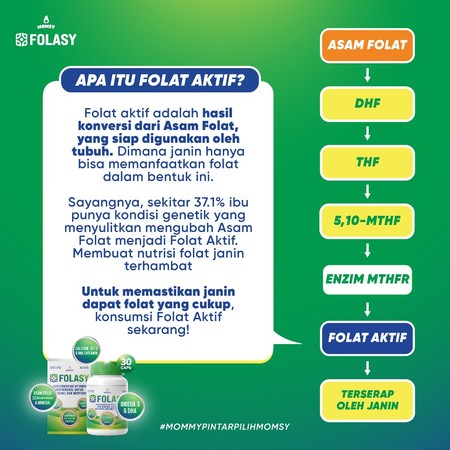 Anugrah Bunda Sehat Indonesia Momsy Folasy