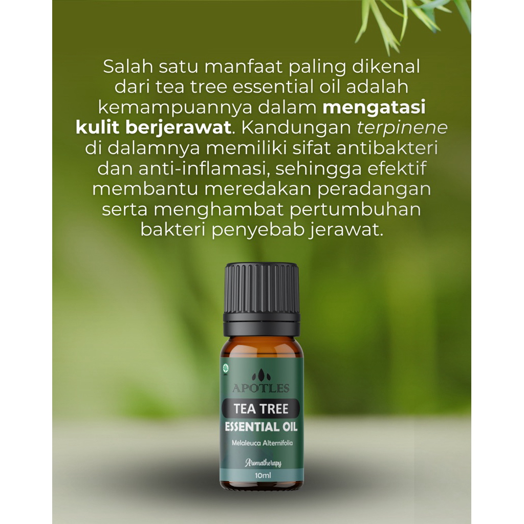 Apotles Tea Tree Essential Oil 