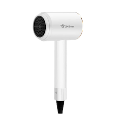 GM Bear Hair Dryer