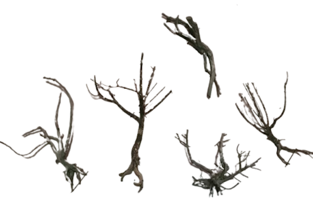 Kayu Santigi Driftwood