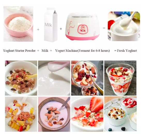 Yobetter Yogurt Starter Youbit 10 Strain Probiotic