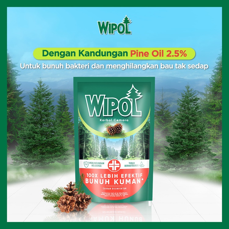Wipol 4