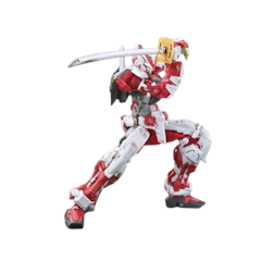 RG 1/144 MBF-P02 Gundam Astray Red Frame