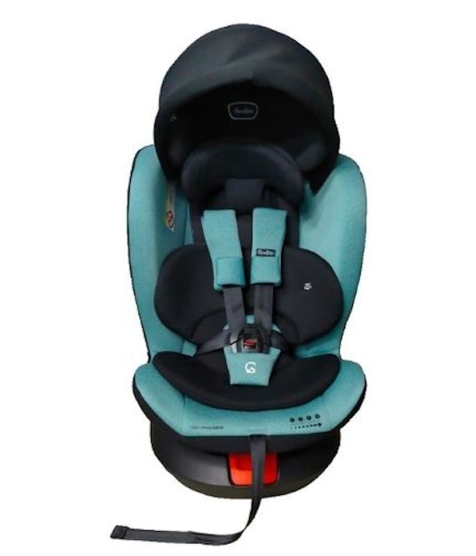 360˚ Rotated Carseat 1