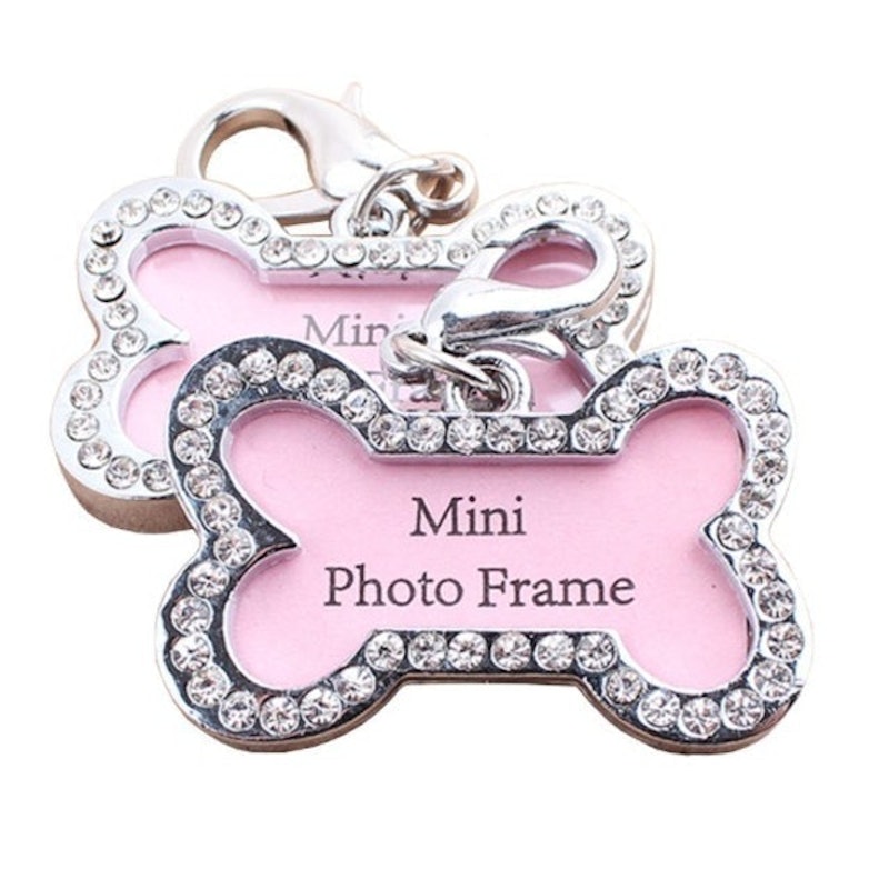 Name Tag Foto Collar 4