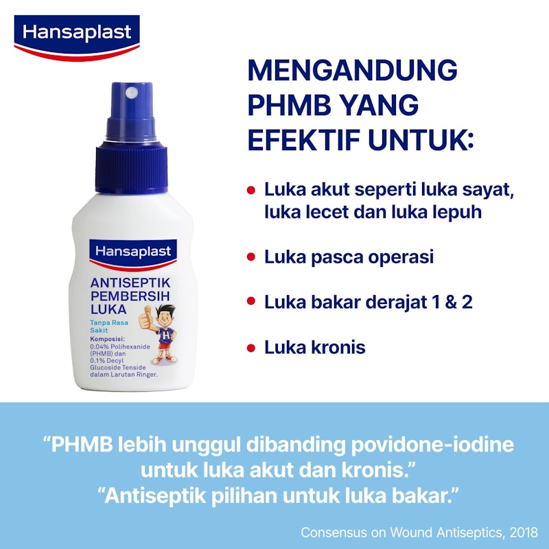Hansaplast Spray Antiseptik 4