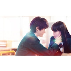 From Me to You: Kimi ni Todoke
