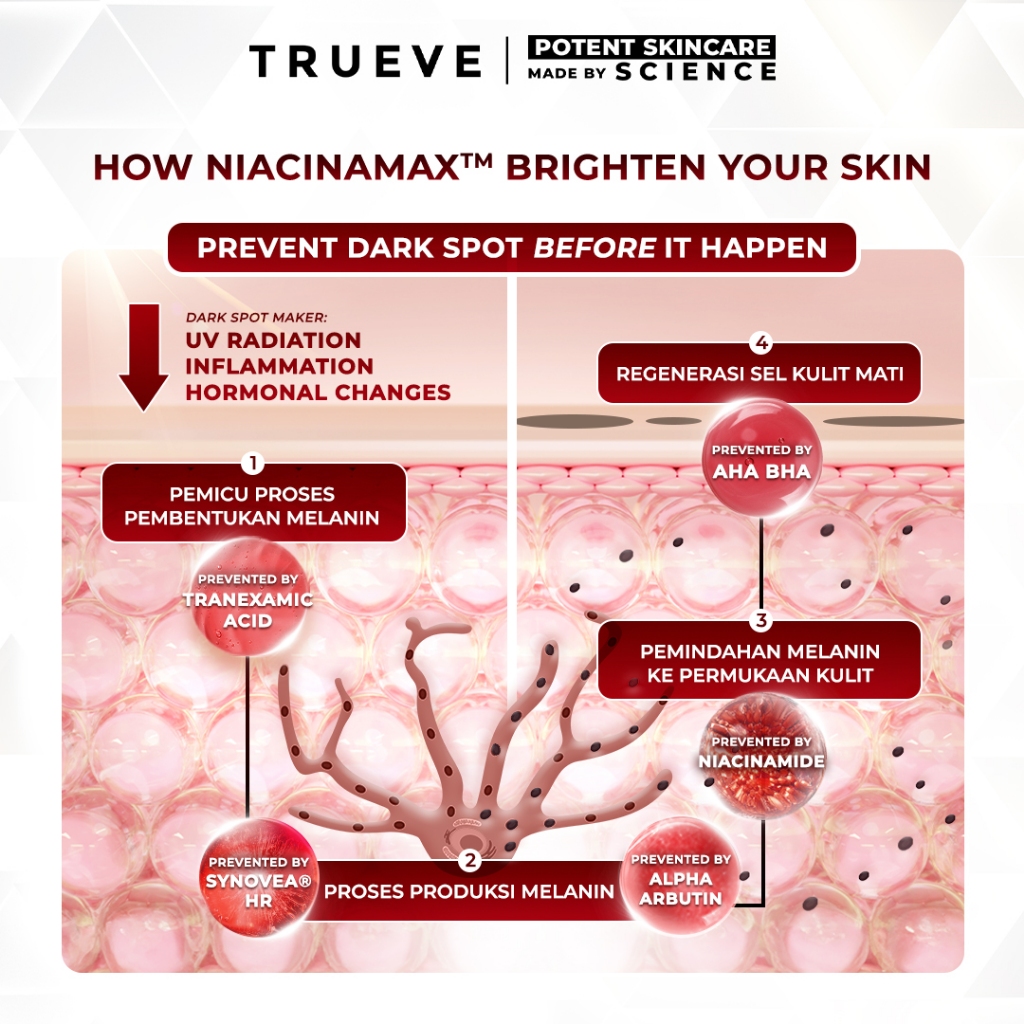 Natura Deca Kosmetika TRUEVE Niacinamax™ Dark Spot Serum 
