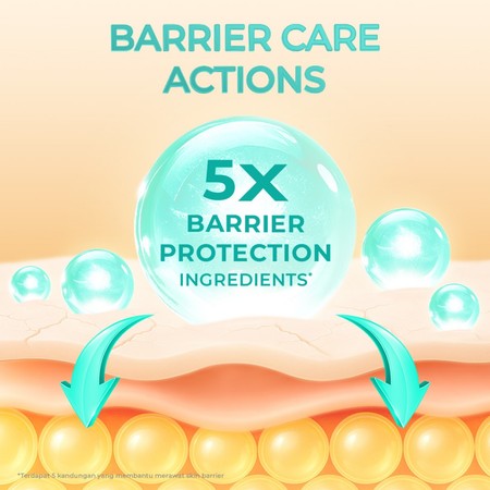 Eka Jaya Internasional Hanasui Power Barrier Serum