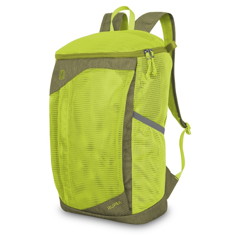 CONSINA RUPEA 1