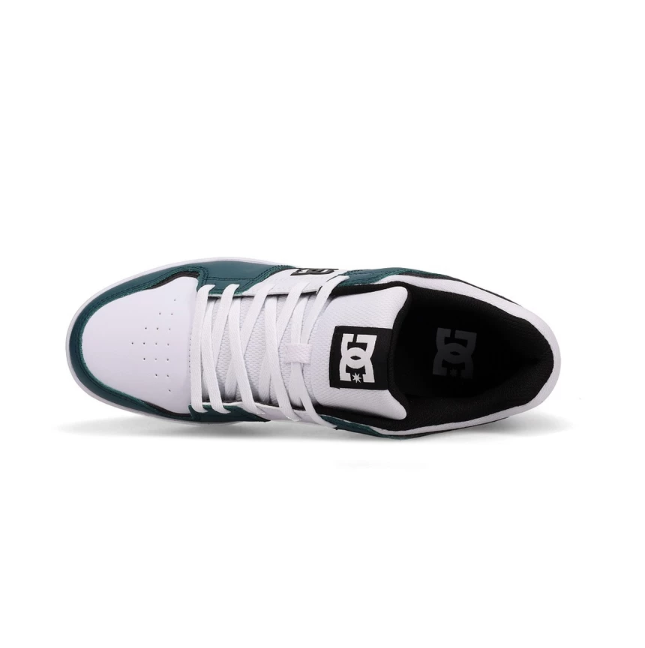  DC Shoes Cupsole Cure Shoes ADYS400073