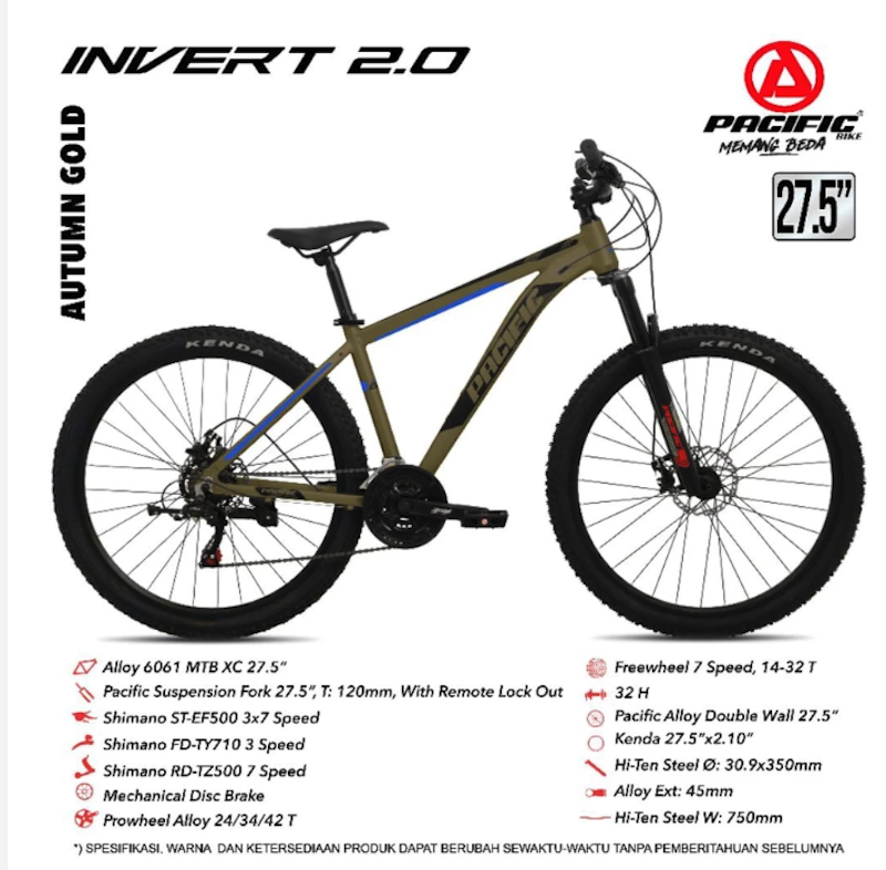 Pacific Bike Invert 2.0