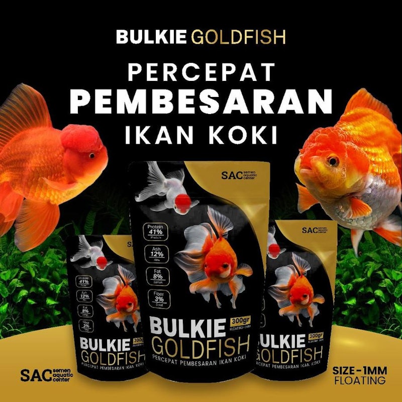 SAC Bulkie Goldfish 5