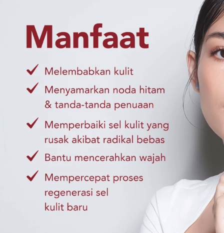 Erha Clinic Indonesia ERHA Age Corrector Niacinamide & Phytosqualane Night Cream