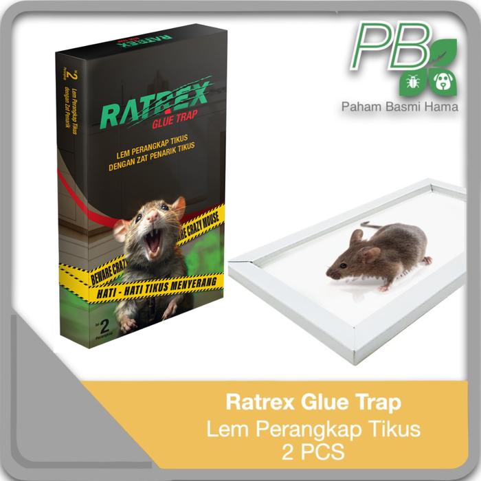 Ratrex Glue Trap
