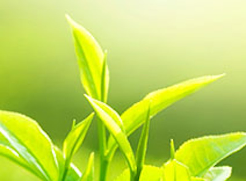 Green Tea Yuzu Eau de Toilette Spray 3