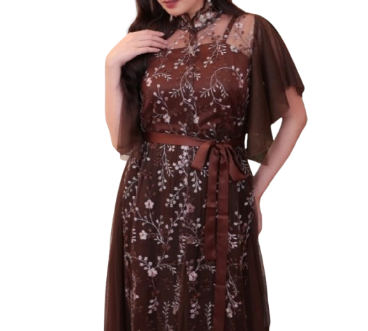  Miss Nomi Ravienna Dress