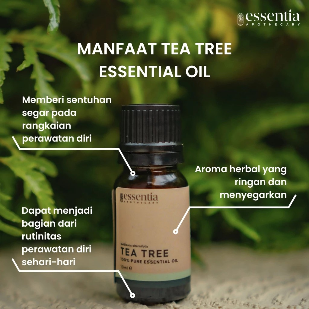  Essentia Apothecary Tea Tree Pure 100% Essential Oil