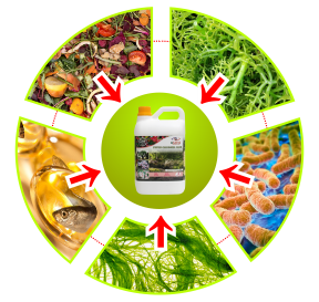 GDM Pupuk Organik Cair Spesialis Tanaman Hias