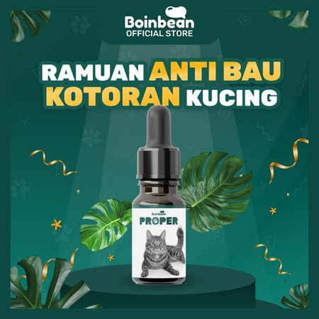 Boinbean Proper 2