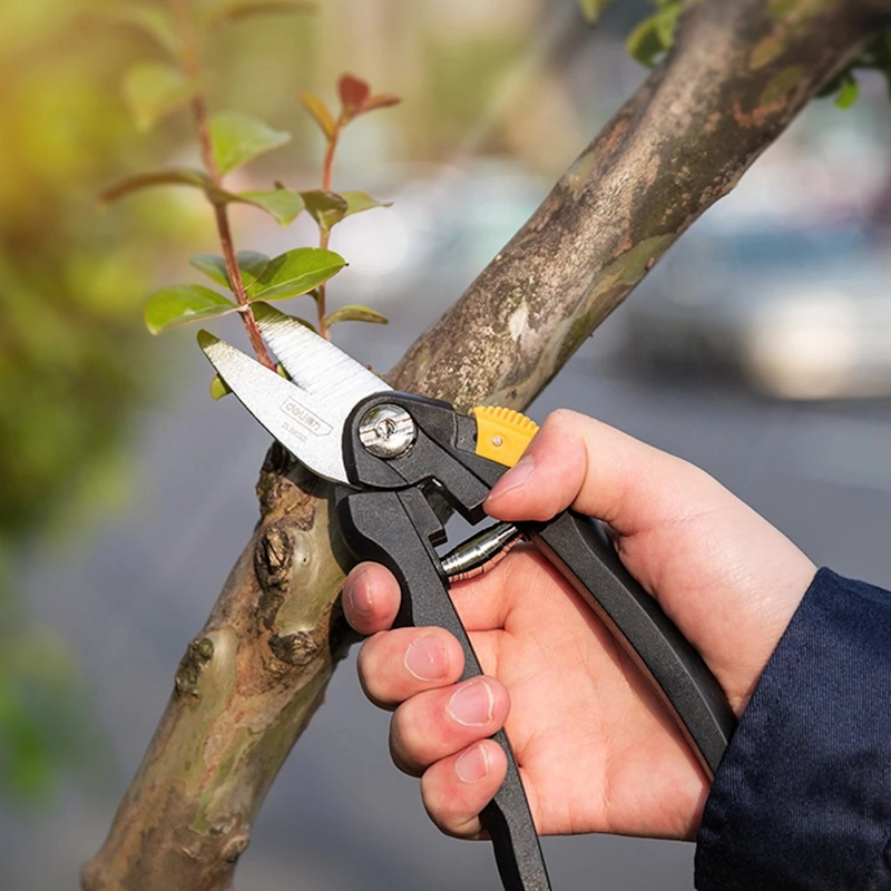 Deli Garden Shears Gunting Dahan 8 inch 3