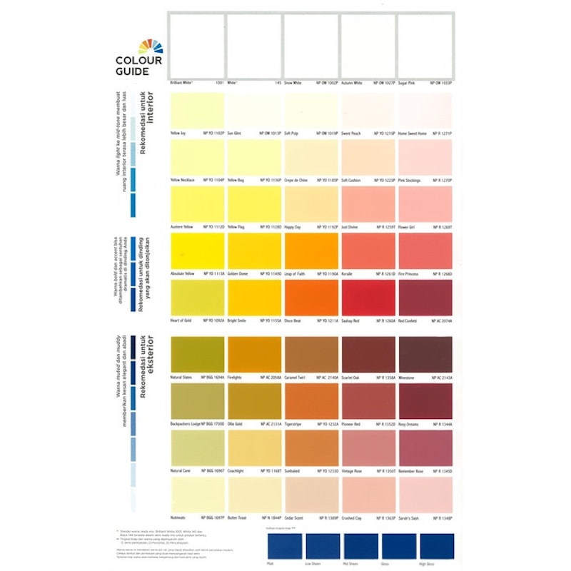 Nippon Paint Vinilex Pro1000 3