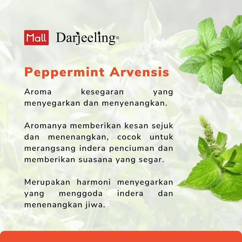 Darjeeling Peppermint Arvensis Essential Oil 3