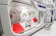 null Miko Rooms & Capsules 1