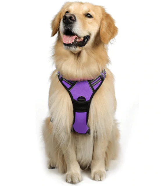 Rabbitgoo No Pull Dog Harness with 2 Leash Clips