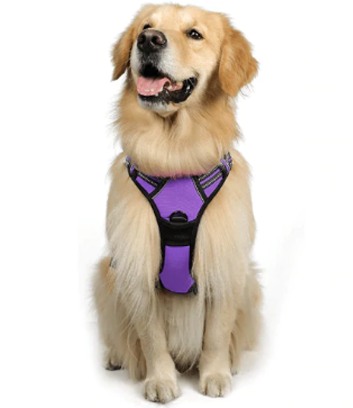 No Pull Dog Harness with 2 Leash Clips