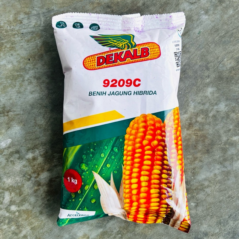 Dekalb Benih Jagung Hibrida 2