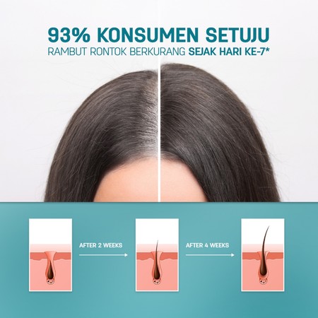 ERHA Clinic Indonesia Erhair HairGrow Hair Tonic Strengthen & Nourish Hair