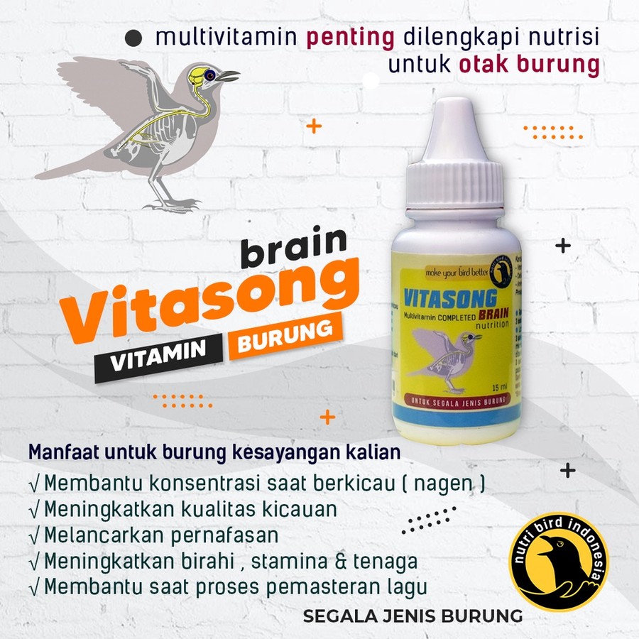 Vitasong Brain 3