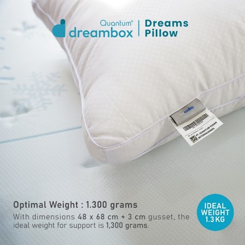 Dreambox Dreams Pillow 5