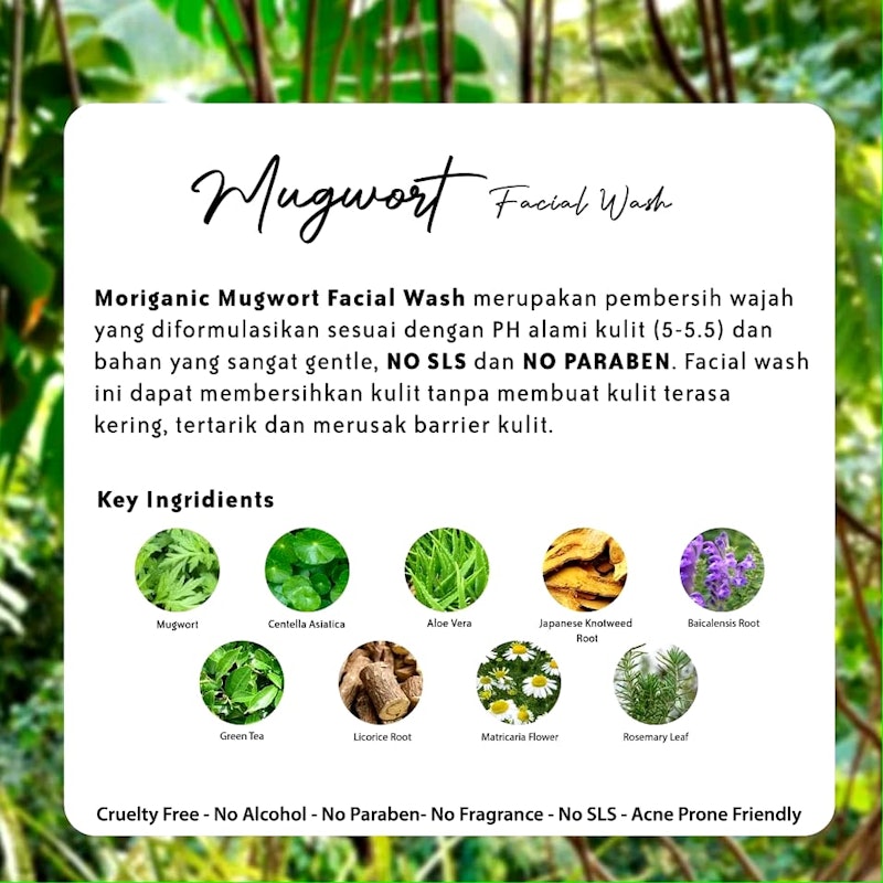 Mugwort Facial Wash 5